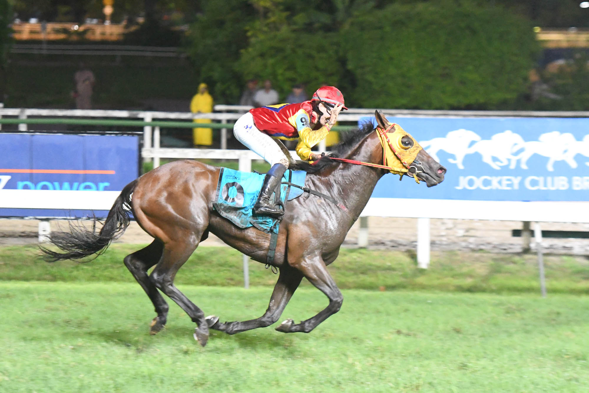 NUDINI - GP Cruzeiro do Sul - Derby Brasileiro 2025 - Araras Blood & Power(G1-2400mG)