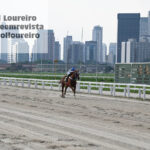 @karolloureiro