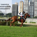 @karolloureiro