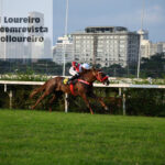 @karolloureiro