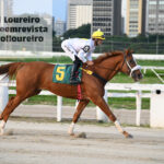 @karolloureiro
