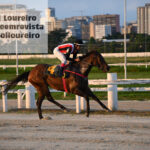 @karolloureiro