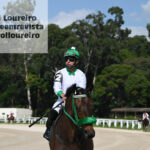 @karolloureiro