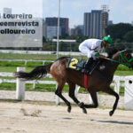 @karolloureiro