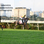 @karolloureiro