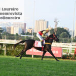 @karolloureiro