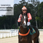 @karolloureiro