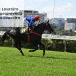 @karolloureiro