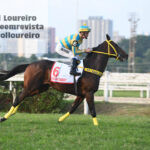 @karolloureiro