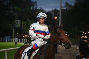 @karolloureiro