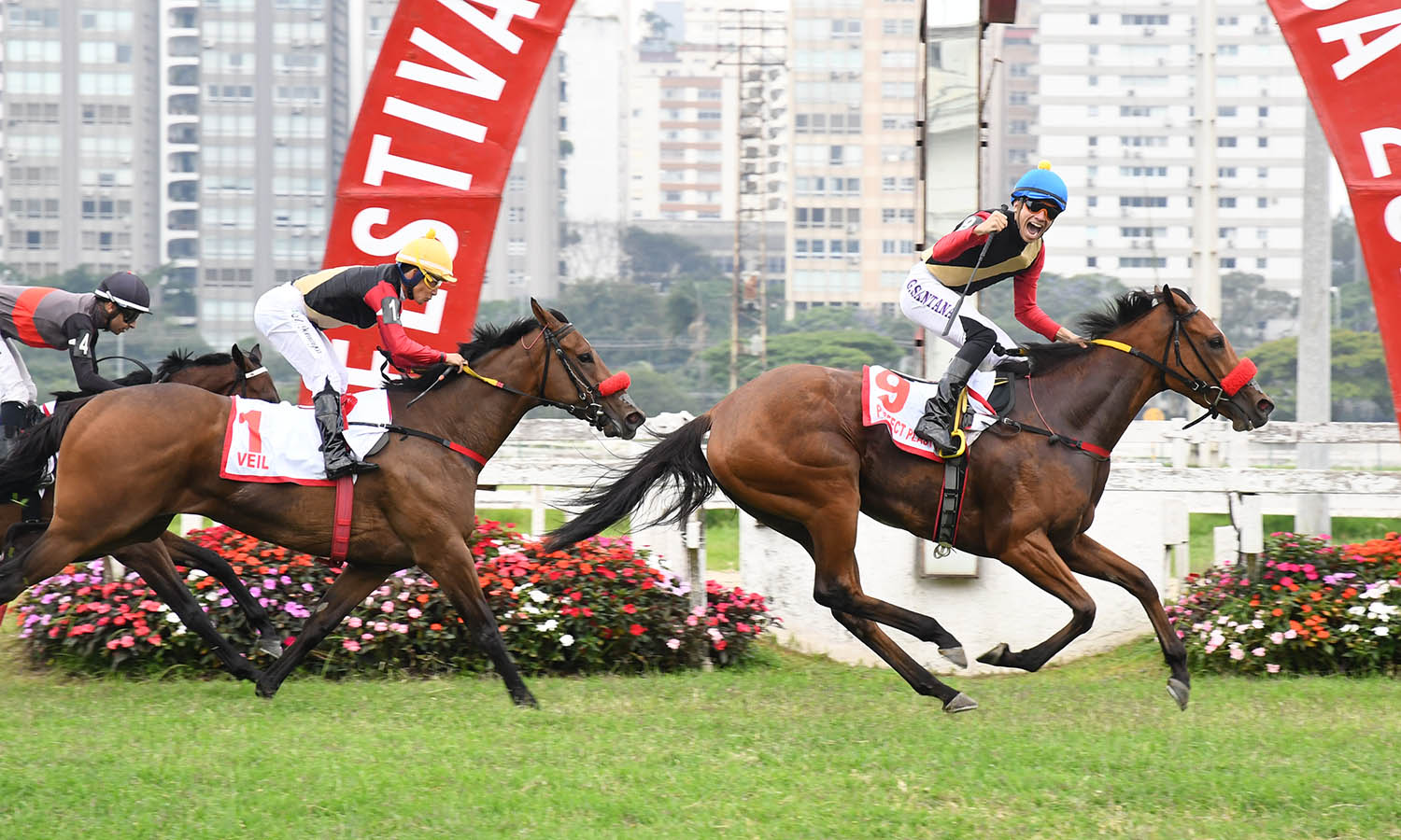 PERFECT PLASTIC - GP Diana 2025 (G1-2000mG) - foto Paulo Bezerra Jr.