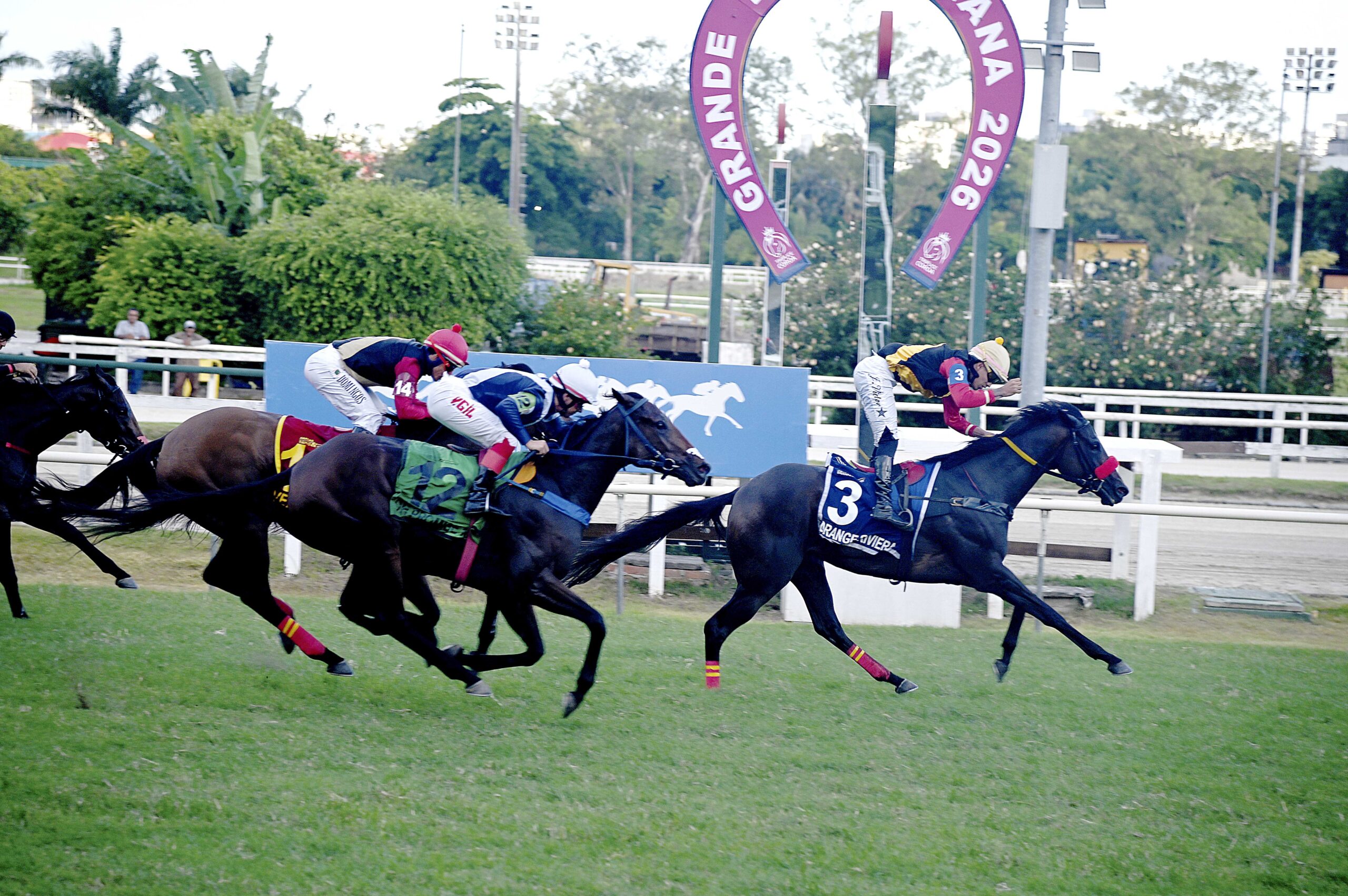 ORANGE RIVIERA - GP Diana (G1-2000mG)