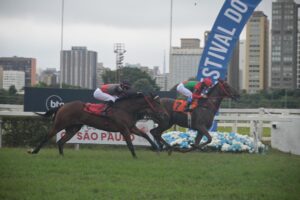 @karolloureiro