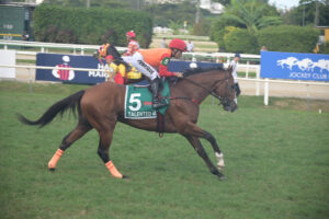 @karolloureiro