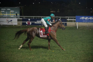 @karolloureiro