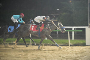 @karolloureiro